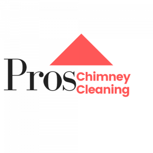 Pro_Chimney__3_-removebg-preview